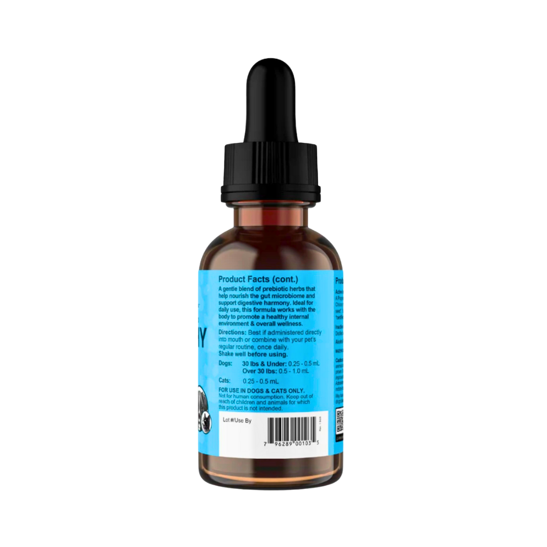 Animal Essentials Healthy Gut | Digestive Health + Microbiome Support