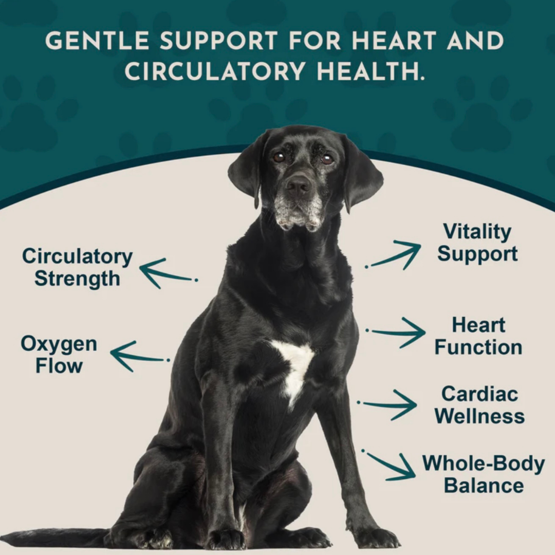 Animal Essentials Heart Health | Natural Cardiovascular Support