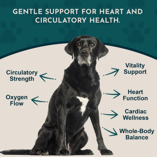 Animal Essentials Heart Health | Natural Cardiovascular Support