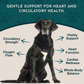 Animal Essentials Heart Health | Natural Cardiovascular Support