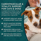 Animal Essentials Heart Health | Natural Cardiovascular Support