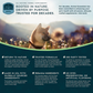 Animal Essentials Heart Health | Natural Cardiovascular Support