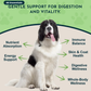 Animal Essentials Herbal Green Alternative | Natural Detox + Parasite Prevention