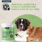 Animal Essentials Herbal Green Alternative | Natural Detox + Parasite Prevention