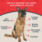 Animal Essentials Joint Support | Natural Mobility + Inflammation Relief