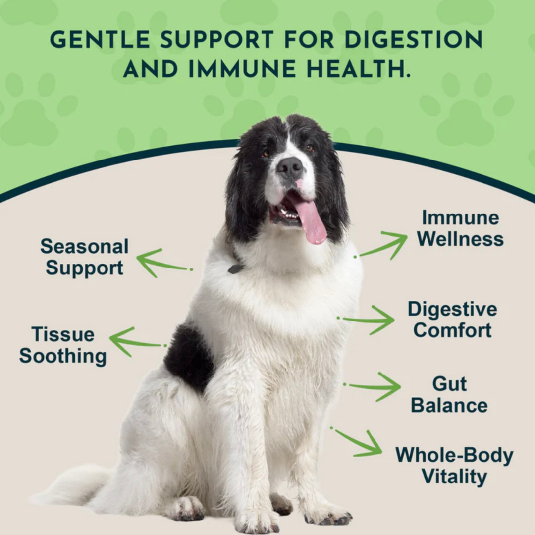 Animal Essentials Licorice Root