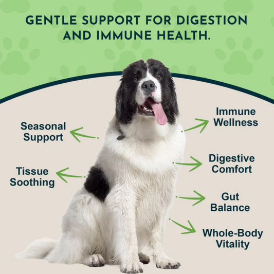 Animal Essentials Licorice Root