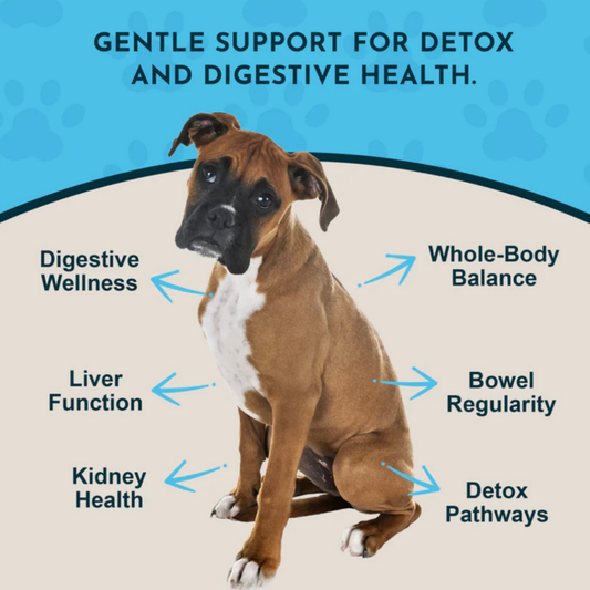 Animal Essentials Body Cleanse | Gentle Herbal Detox