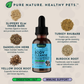 Body Cleanse | Natural Organic Detox + Elimination Support