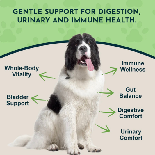 Animal Essentials Marshmallow | Supports Digestive Tract Health