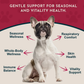 Animal Essentials Nettle | Natural Allergy + Inflammation Relief