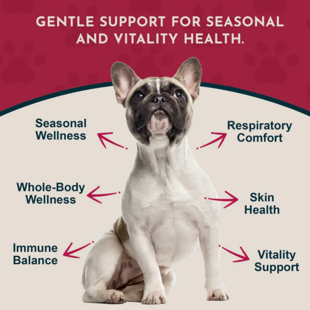 Animal Essentials Nettle | Natural Allergy + Inflammation Relief