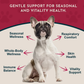 Animal Essentials Nettle | Natural Allergy + Inflammation Relief