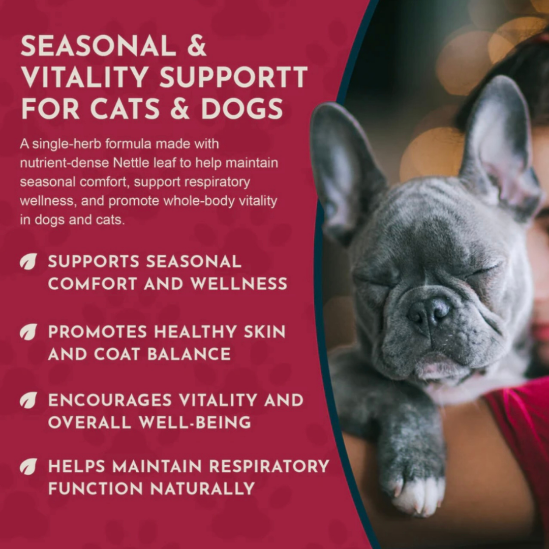 Animal Essentials Nettle | Natural Allergy + Inflammation Relief