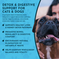 Body Cleanse | Natural Organic Detox + Elimination Support
