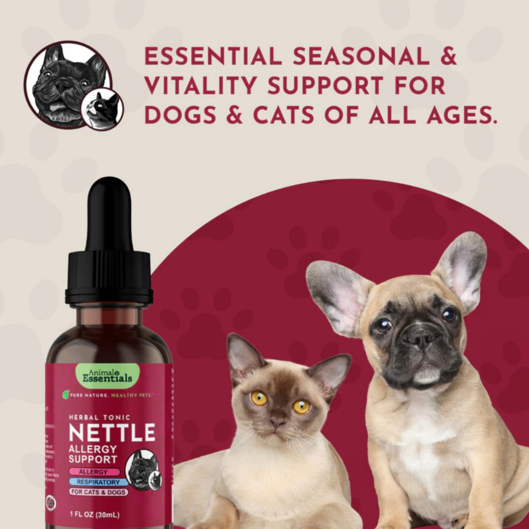 Animal Essentials Nettle | Natural Allergy + Inflammation Relief