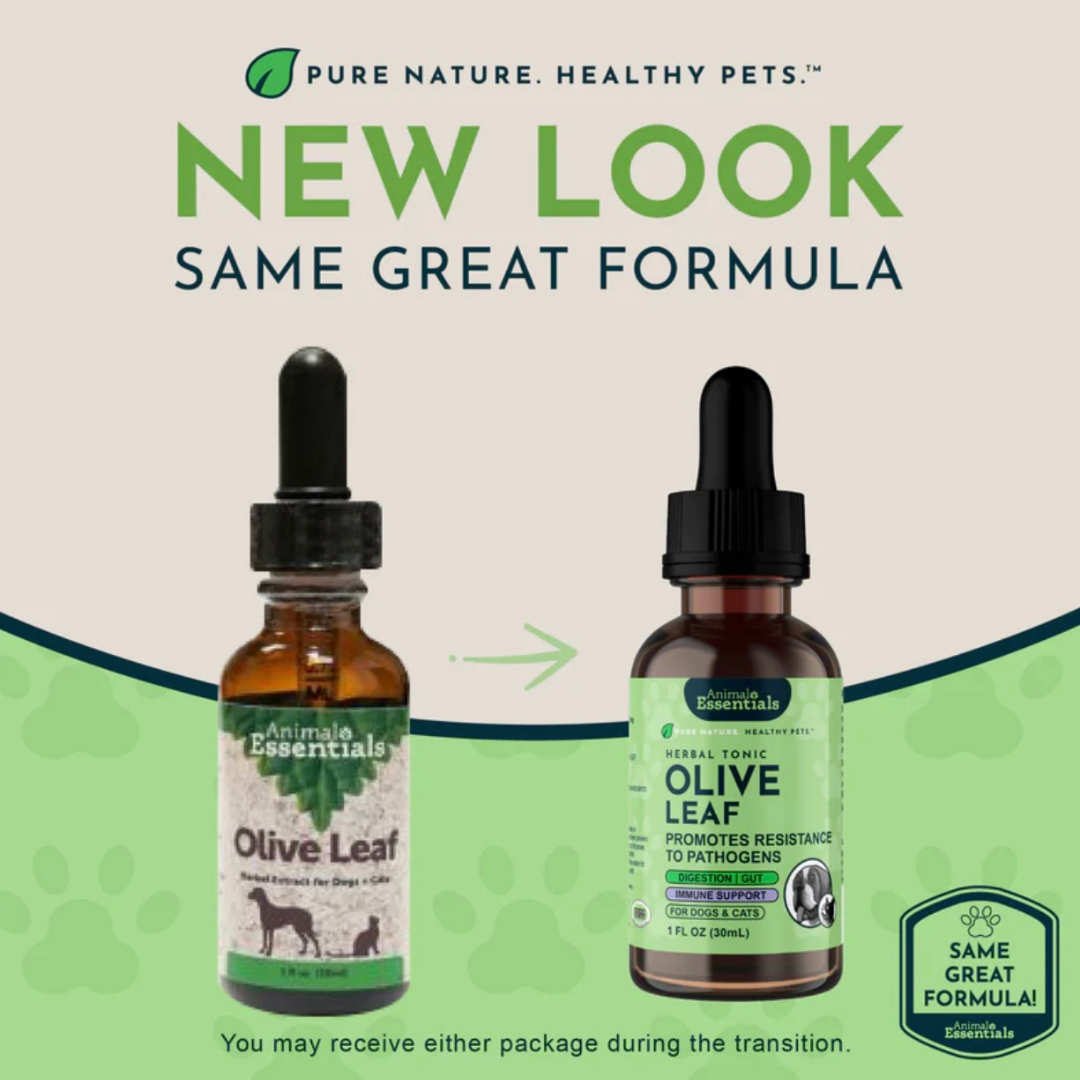 Animal Essentials Olive Leaf | Immune Support + Antimicrobial Defense