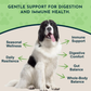 Animal Essentials Olive Leaf | Immune Support + Antimicrobial Defense