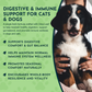 Animal Essentials Olive Leaf | Immune Support + Antimicrobial Defense