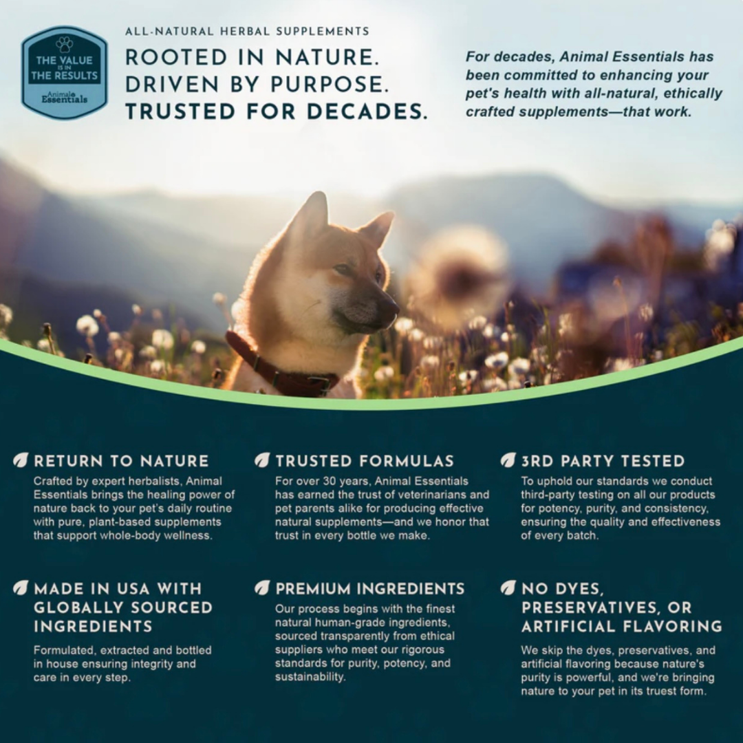 Animal Essentials Olive Leaf | Immune Support + Antimicrobial Defense