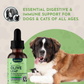 Animal Essentials Olive Leaf | Immune Support + Antimicrobial Defense