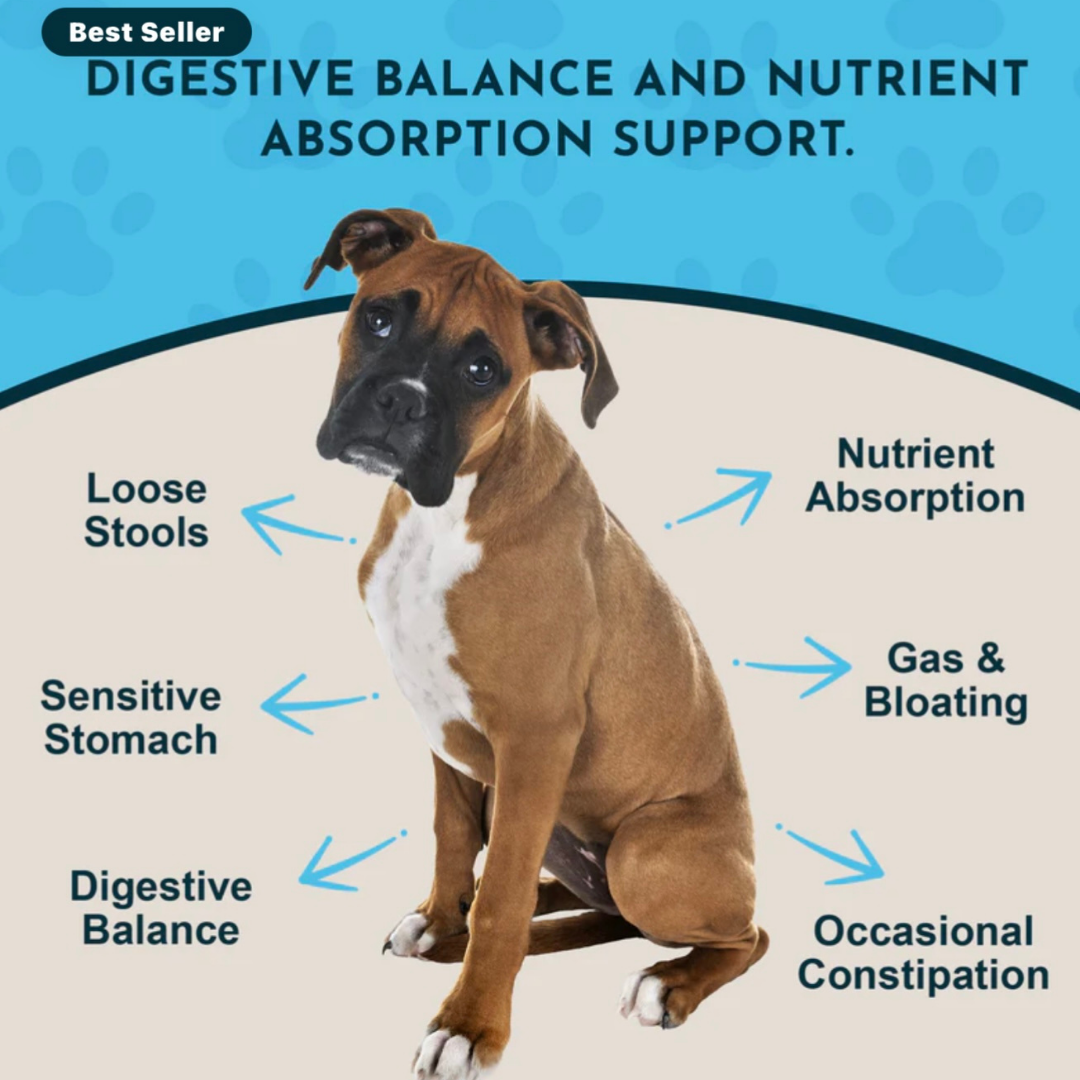 Animal Essentials Plant Digestive Enzymes + Probiotics