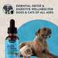 Body Cleanse | Natural Organic Detox + Elimination Support