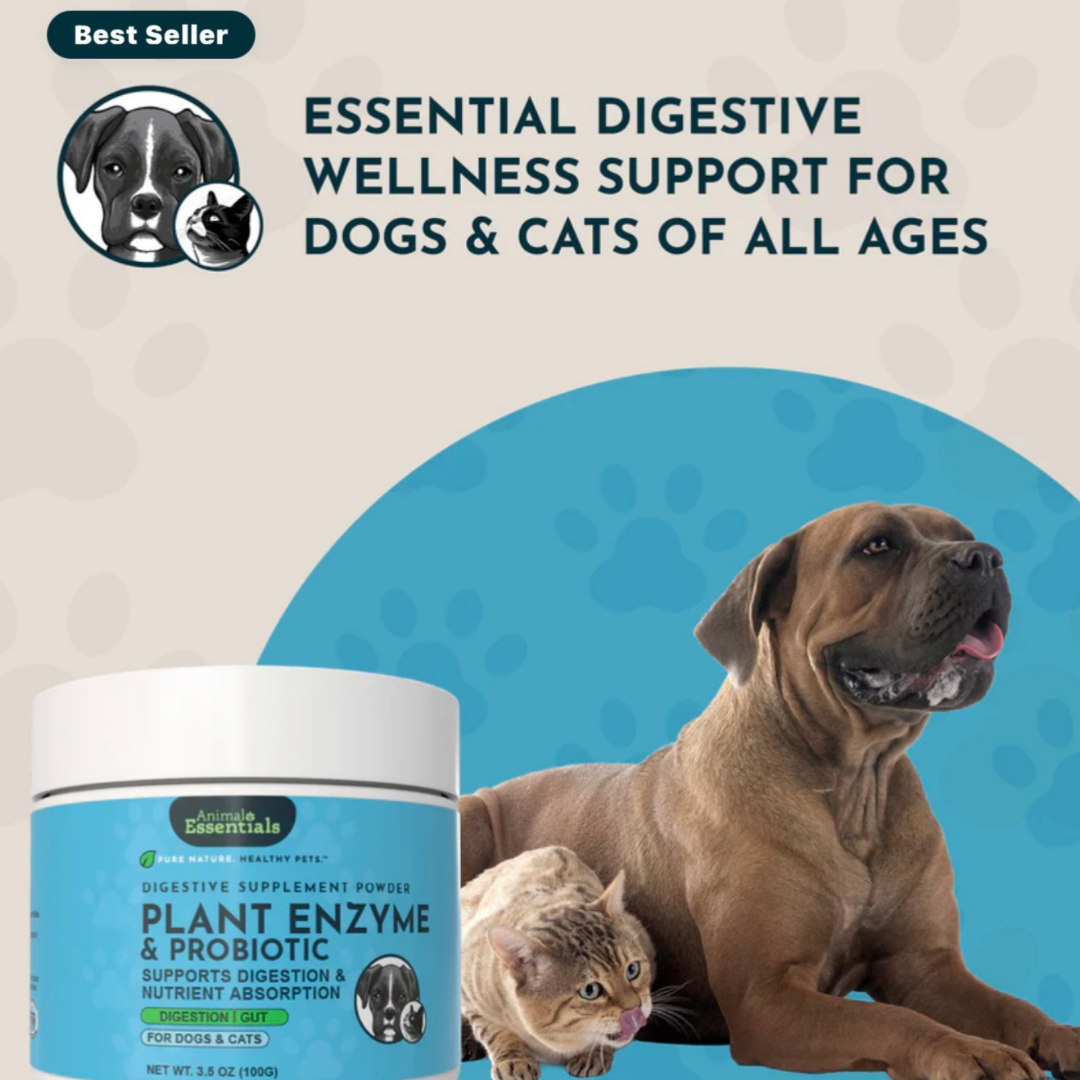 Animal Essentials Plant Digestive Enzymes + Probiotics