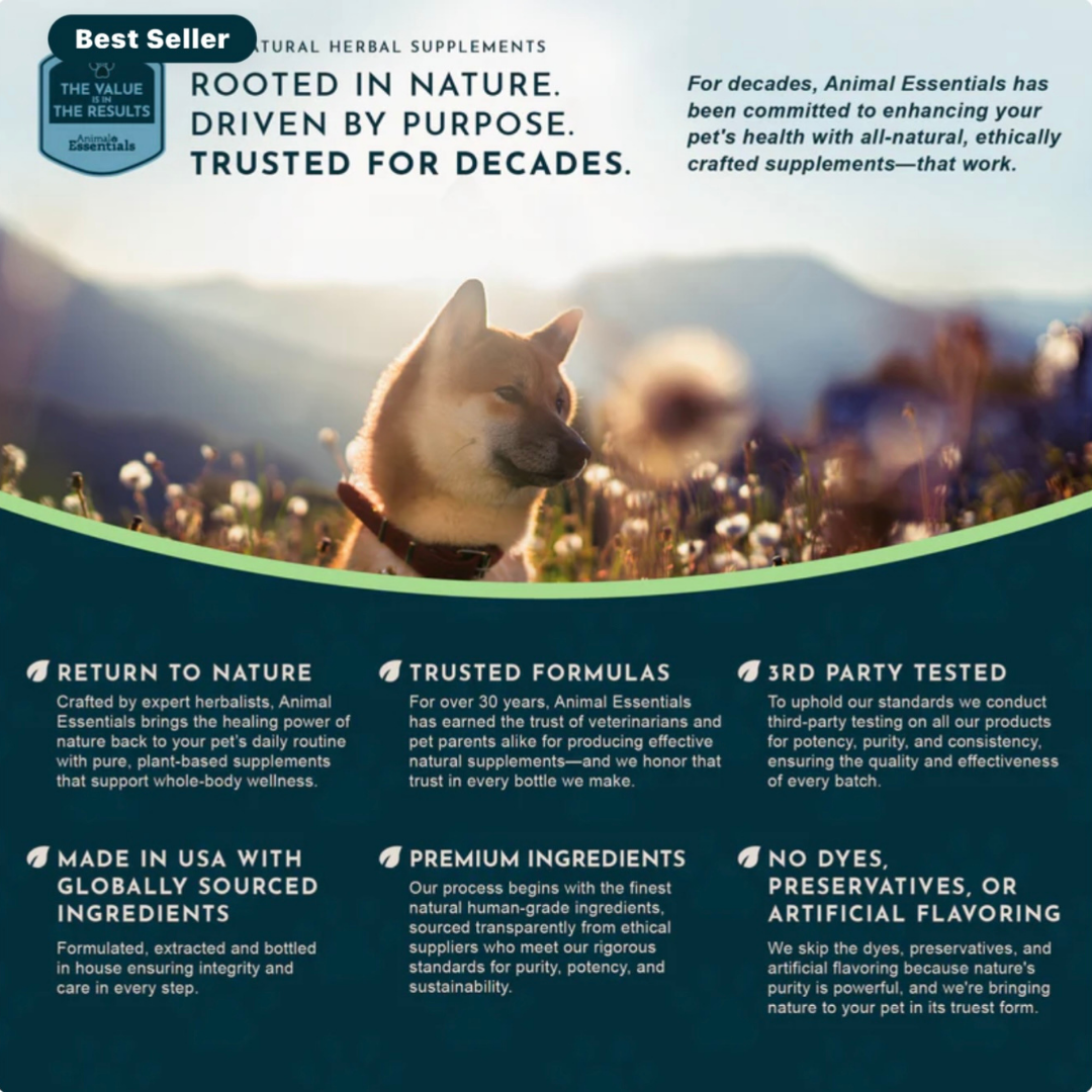 Animal Essentials Plant Digestive Enzymes + Probiotics