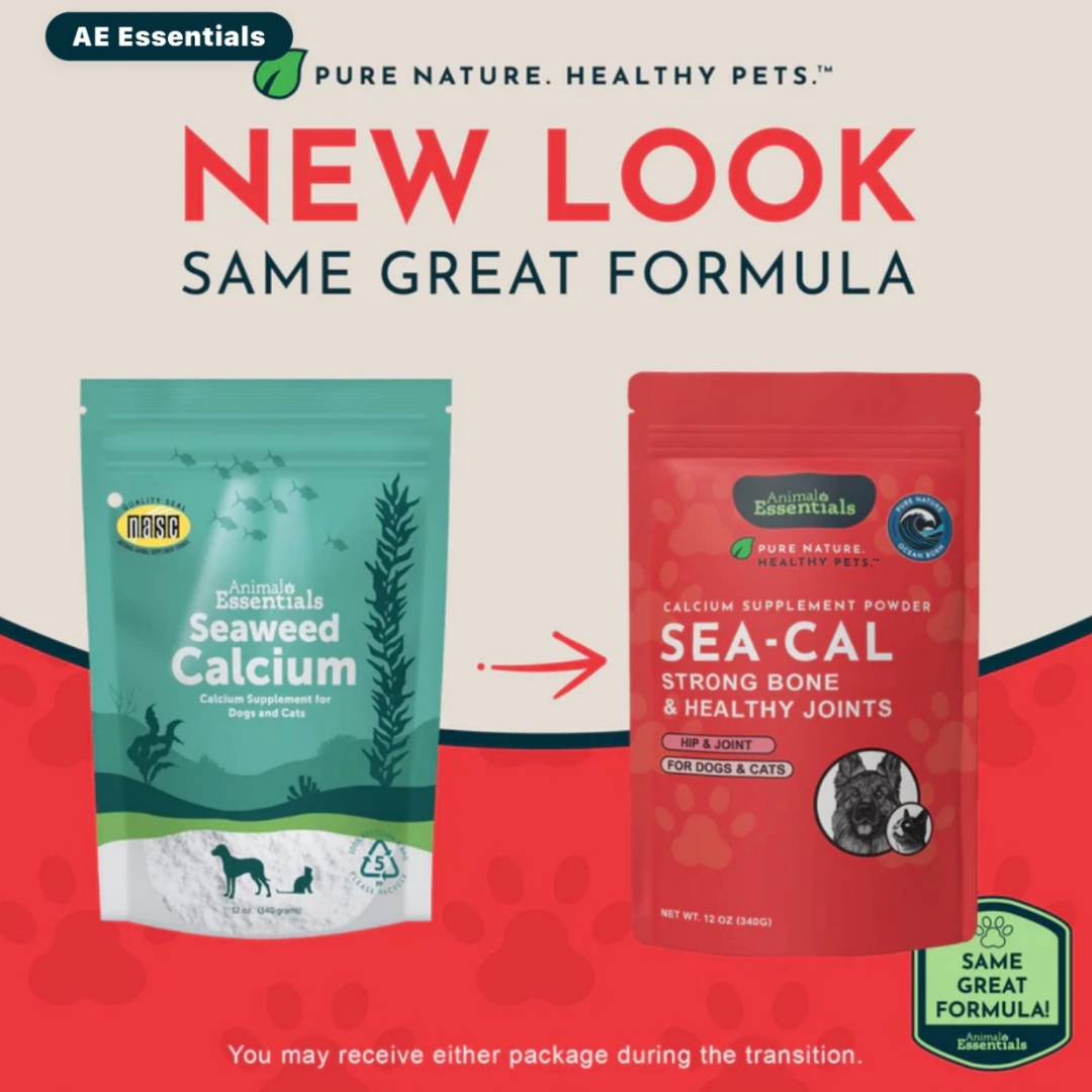 Animal Essentials Seaweed Calcium Powder | Strong Bones + Healthy Joints