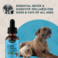 Animal Essentials Body Cleanse | Gentle Herbal Detox