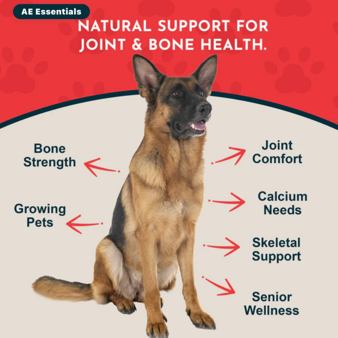 Animal Essentials Seaweed Calcium Powder | Strong Bones + Healthy Joints