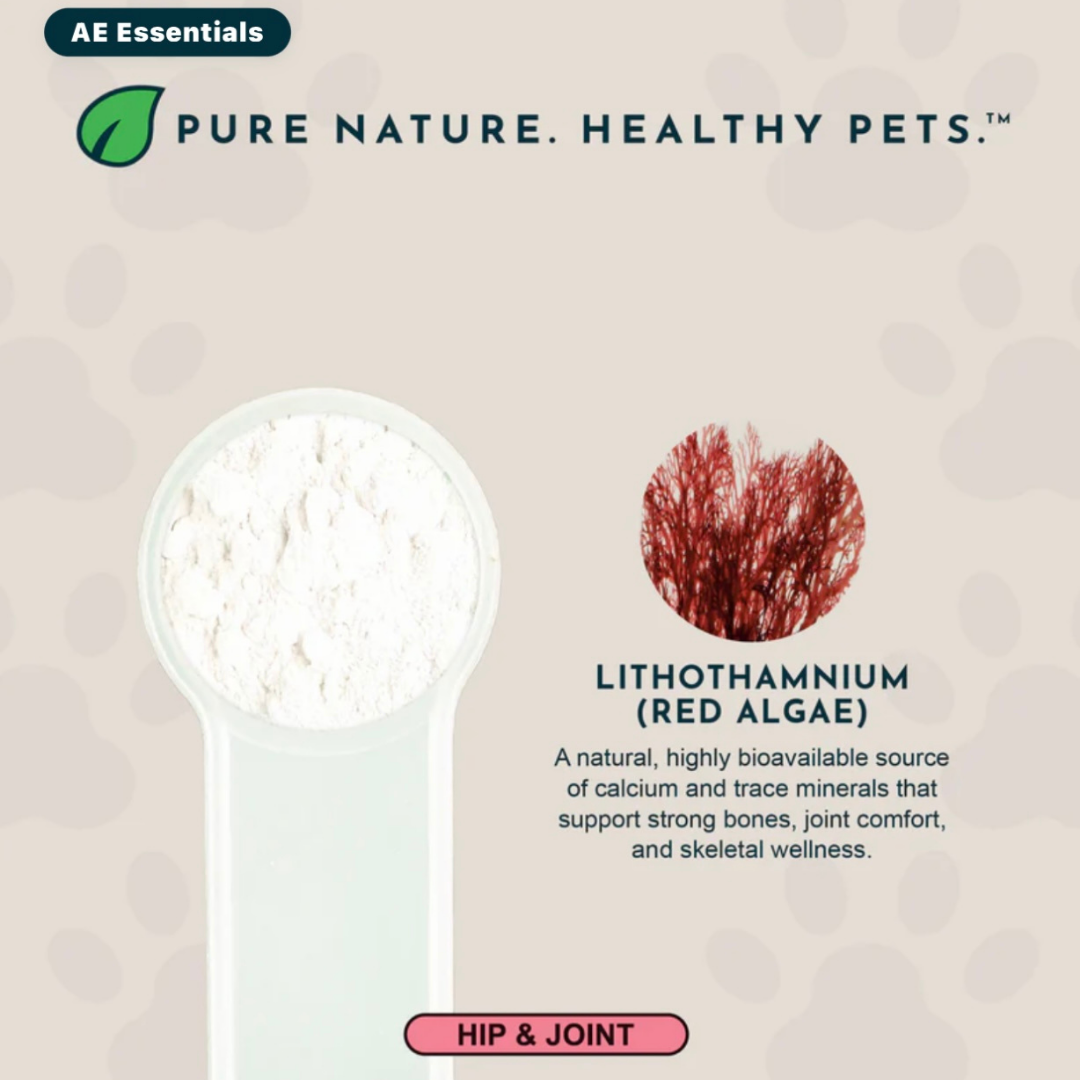 Animal Essentials Seaweed Calcium Powder | Strong Bones + Healthy Joints
