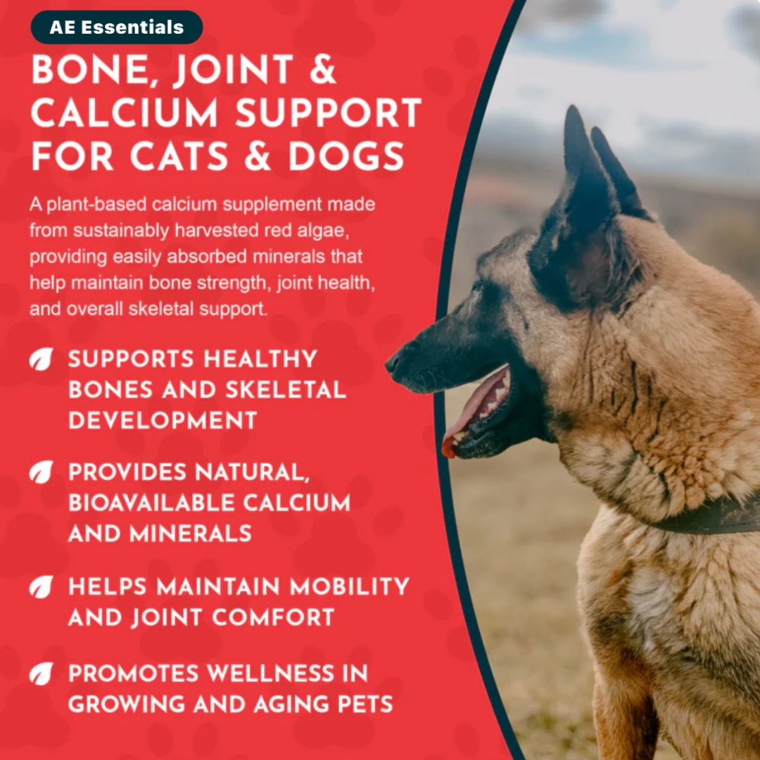 Animal Essentials Seaweed Calcium Powder | Strong Bones + Healthy Joints