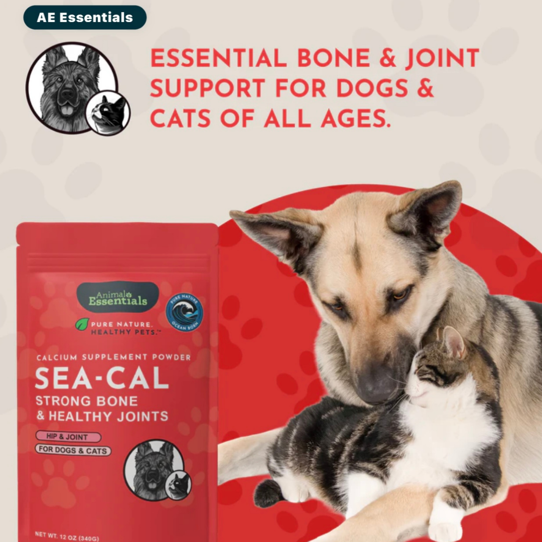 Animal Essentials Seaweed Calcium Powder | Strong Bones + Healthy Joints