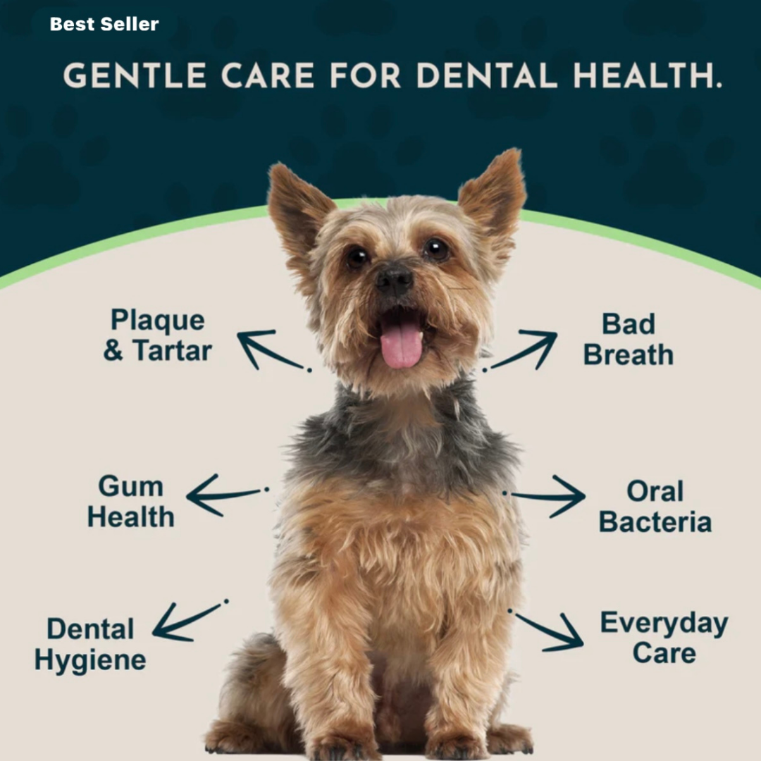 Animal Essentials SeaDent | Plaque + Tartar Control