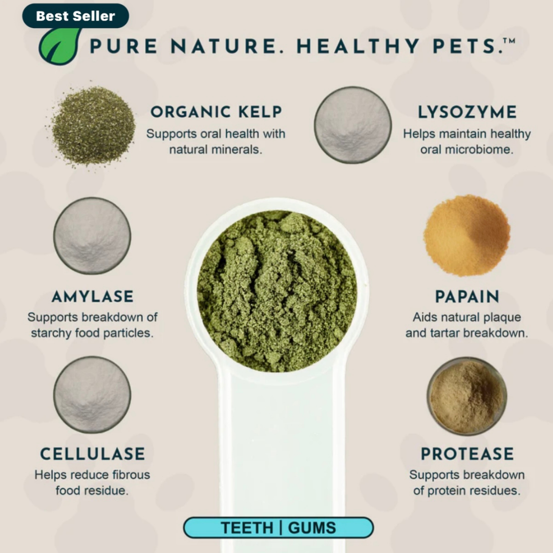 Animal Essentials SeaDent | Plaque + Tartar Control