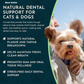 Animal Essentials SeaDent | Plaque + Tartar Control