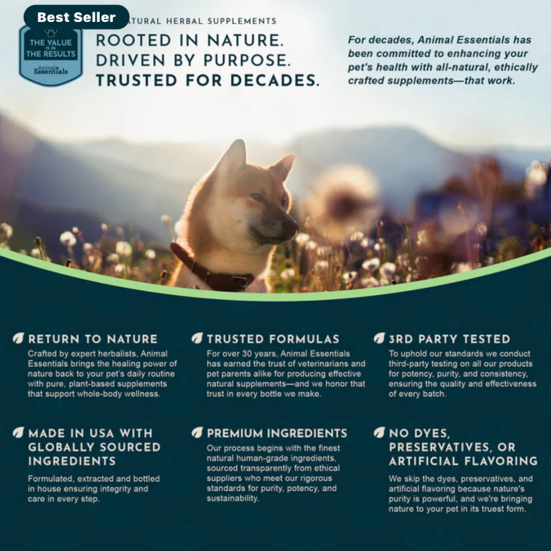 Animal Essentials SeaDent | Plaque + Tartar Control