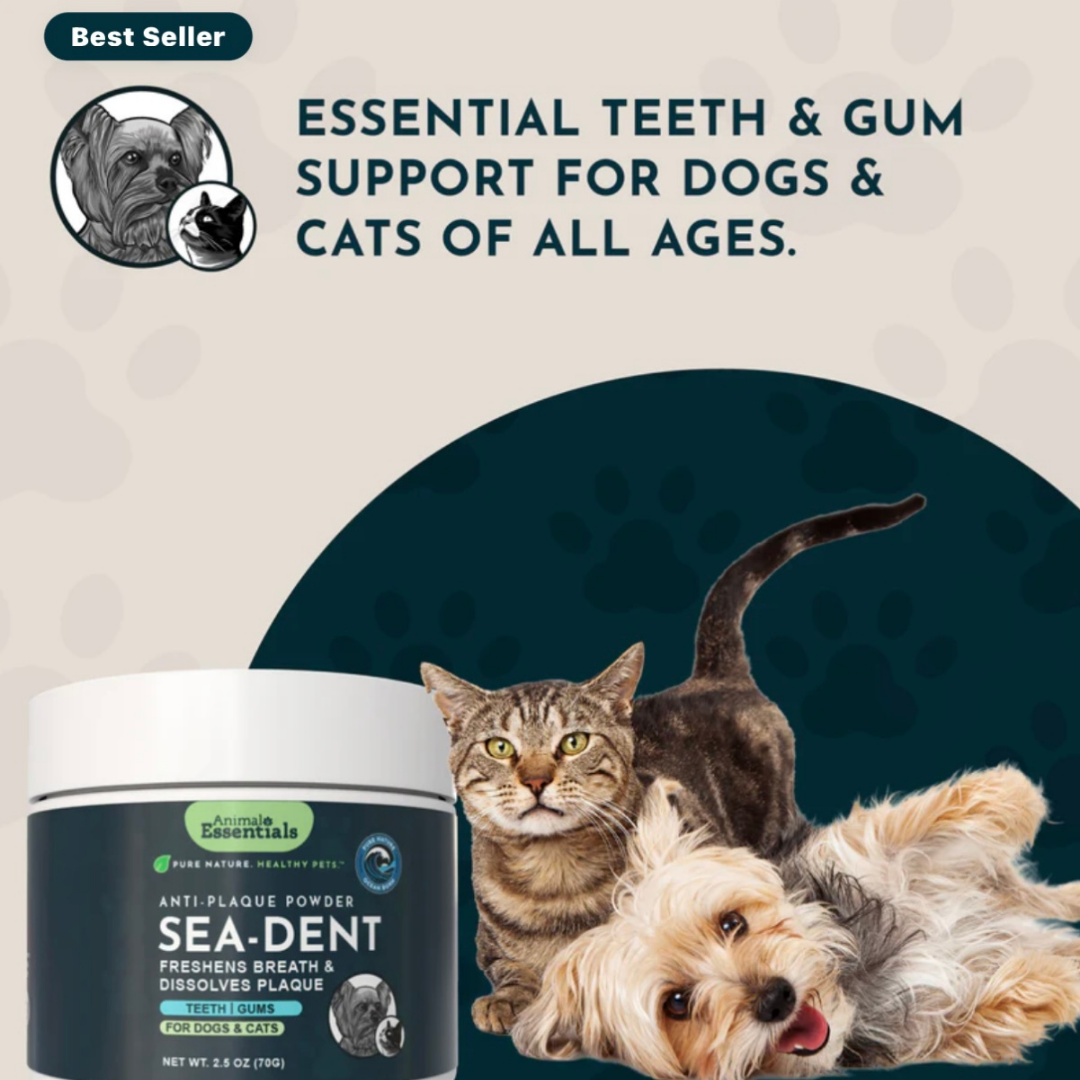 Animal Essentials SeaDent | Plaque + Tartar Control