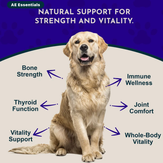 Animal Essentials Sea-Vital | Organic Ocean Kelp + Trace Minerals