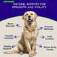 Animal Essentials Sea-Vital | Organic Ocean Kelp + Trace Minerals