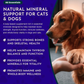 Animal Essentials Sea-Vital | Organic Ocean Kelp + Trace Minerals