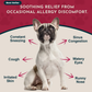 Animal Essentials Seasonal Allergy | Natural Allergy Relief