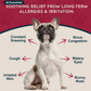Animal Essentials Seasonal Allergy Powder | Natural Histamine + Allergy Relief