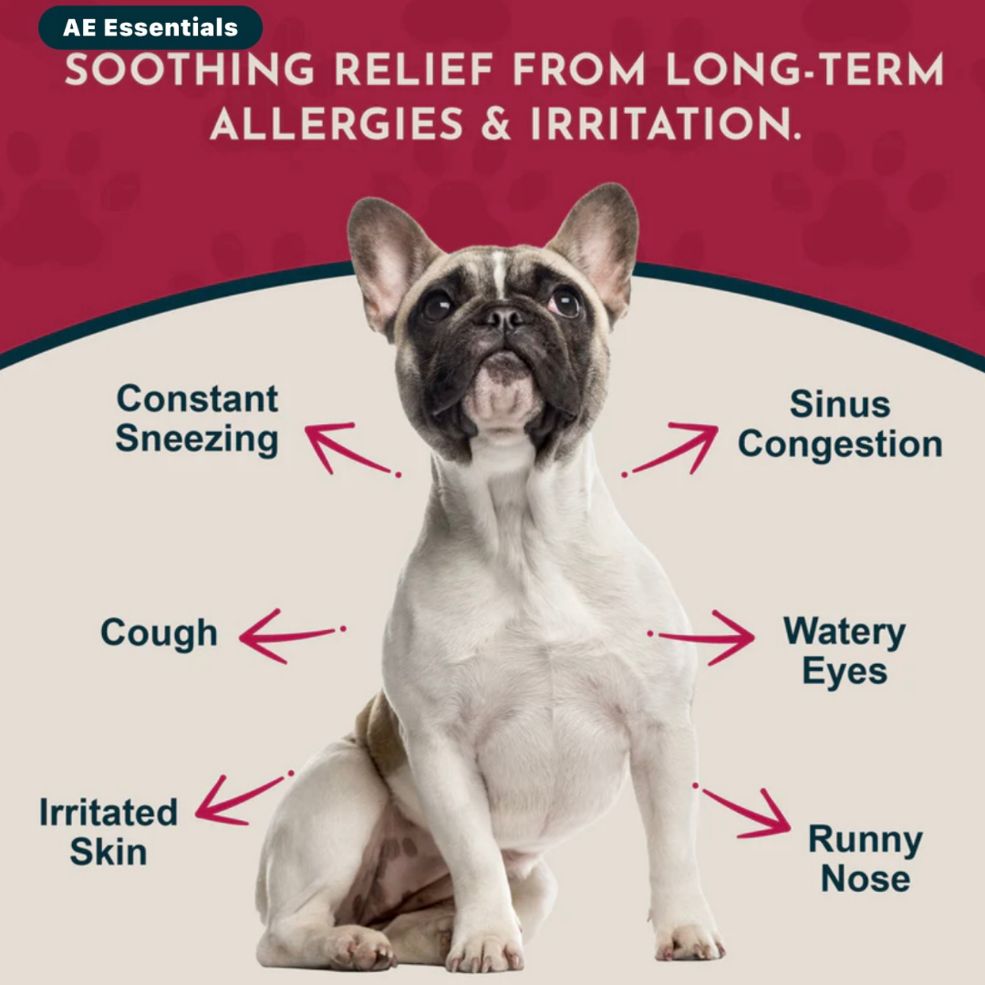 Animal Essentials Seasonal Allergy Powder | Natural Histamine + Allergy Relief