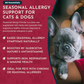 Animal Essentials Seasonal Allergy Powder | Natural Histamine + Allergy Relief