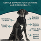 Brain Awake | Organic Cognitive + Nerve Support