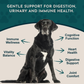 Animal Essentials Senior Support | Natural Aging Support