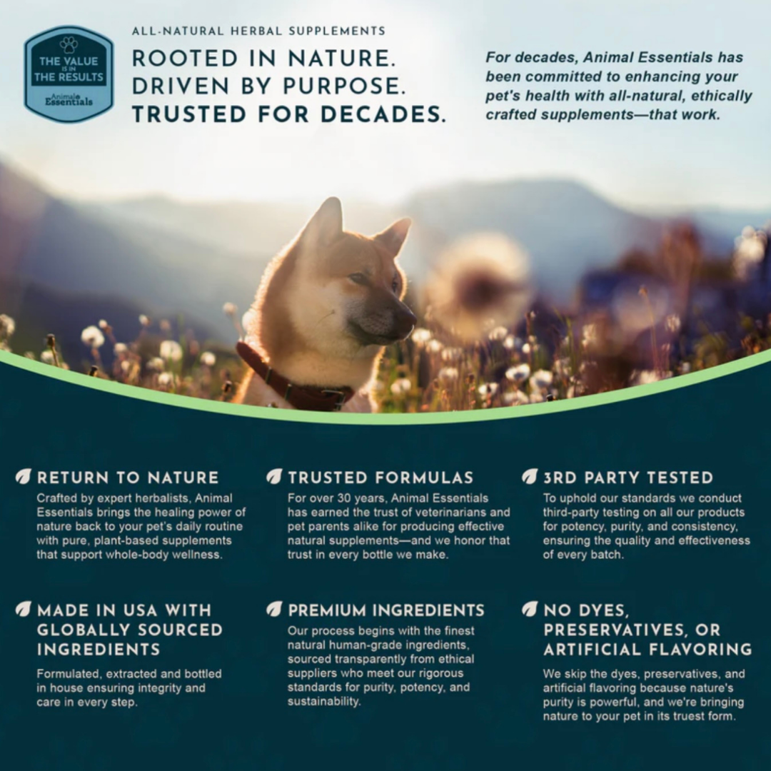 Animal Essentials Senior Support | Natural Aging Support